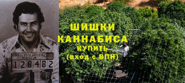 молекула духа Нязепетровск