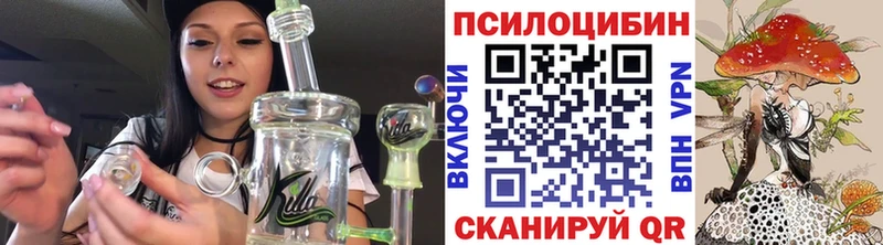 купить закладку  блэк спрут зеркало  Галлюциногенные грибы Psilocybe  Осташков 